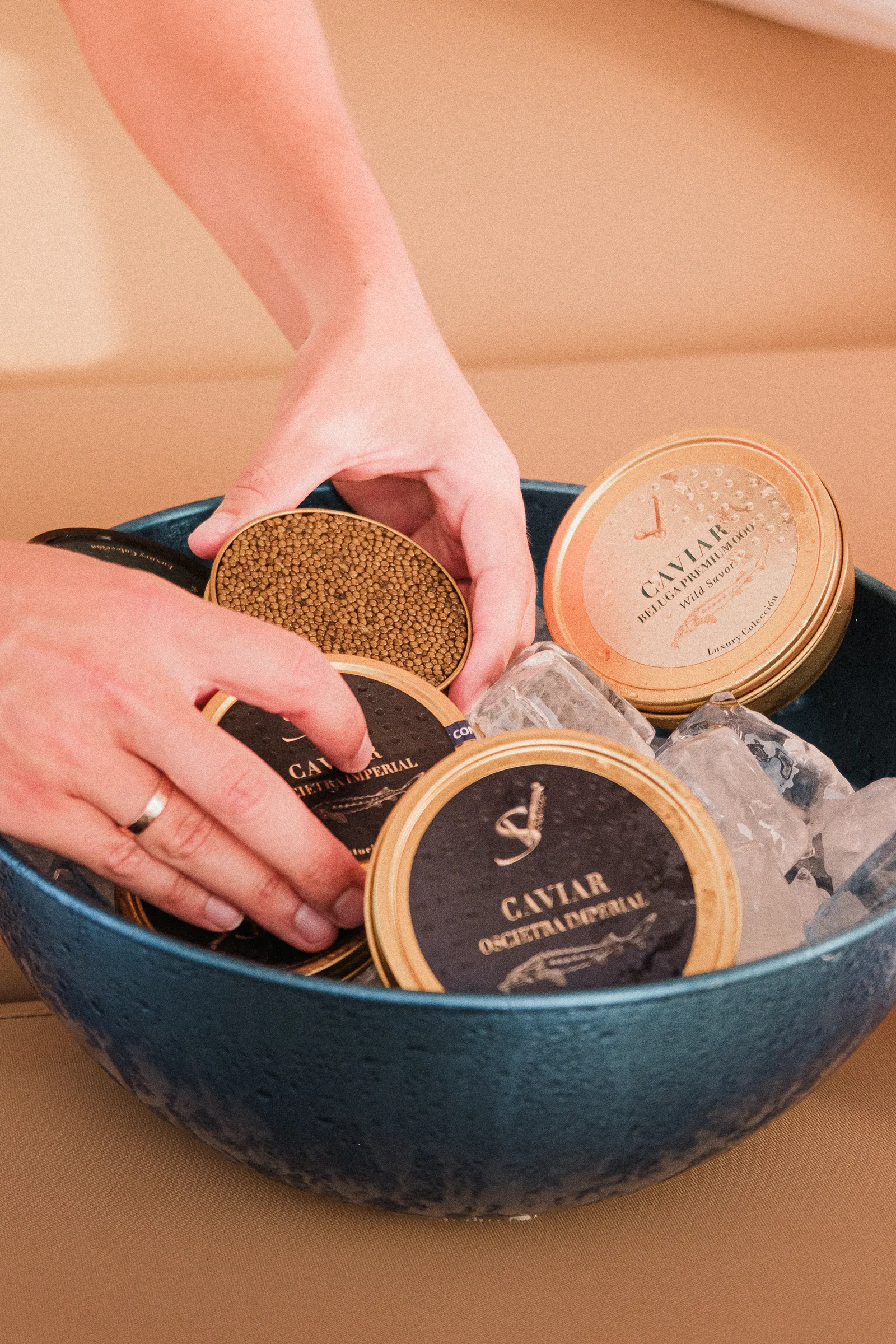 Club 33 × SV Caviar, imagen 7